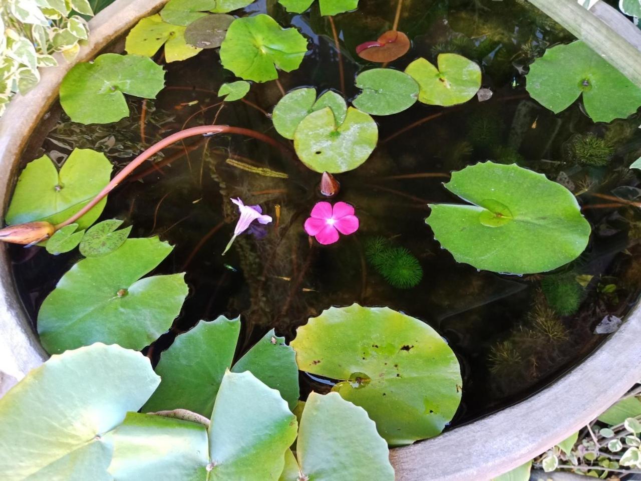 A Lanna Boutique House Hotel Chiang Mai Exterior foto